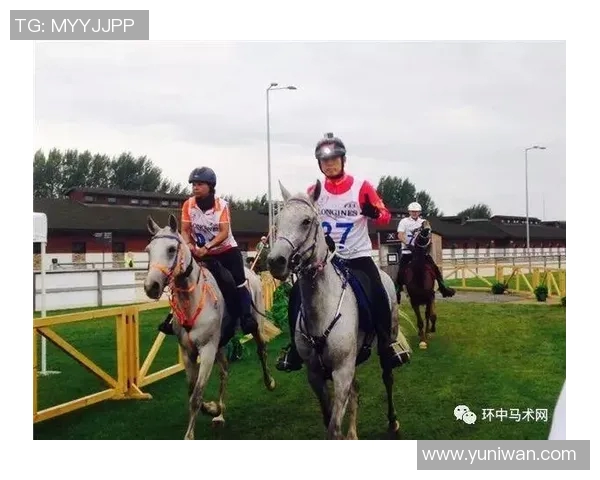 重庆乒乓球队勇夺最新耐力TOP10榜首引发关注